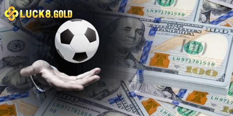 Giới thiệu tổng quan chính sách đại lý luck8