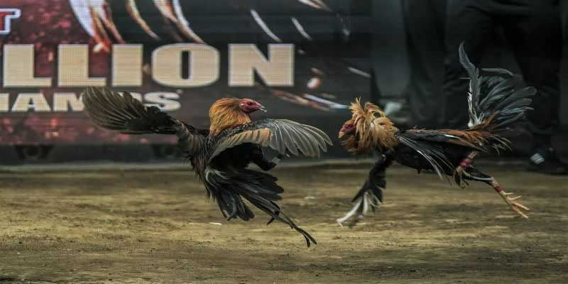 Tính năng tương tác, cập nhật đổi mới thông tin